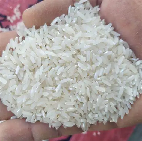 Рис с длинным зерном 504-100%, органический белый рис с длинным зерном по низкой цене из Вьетнама, Органическая ферма