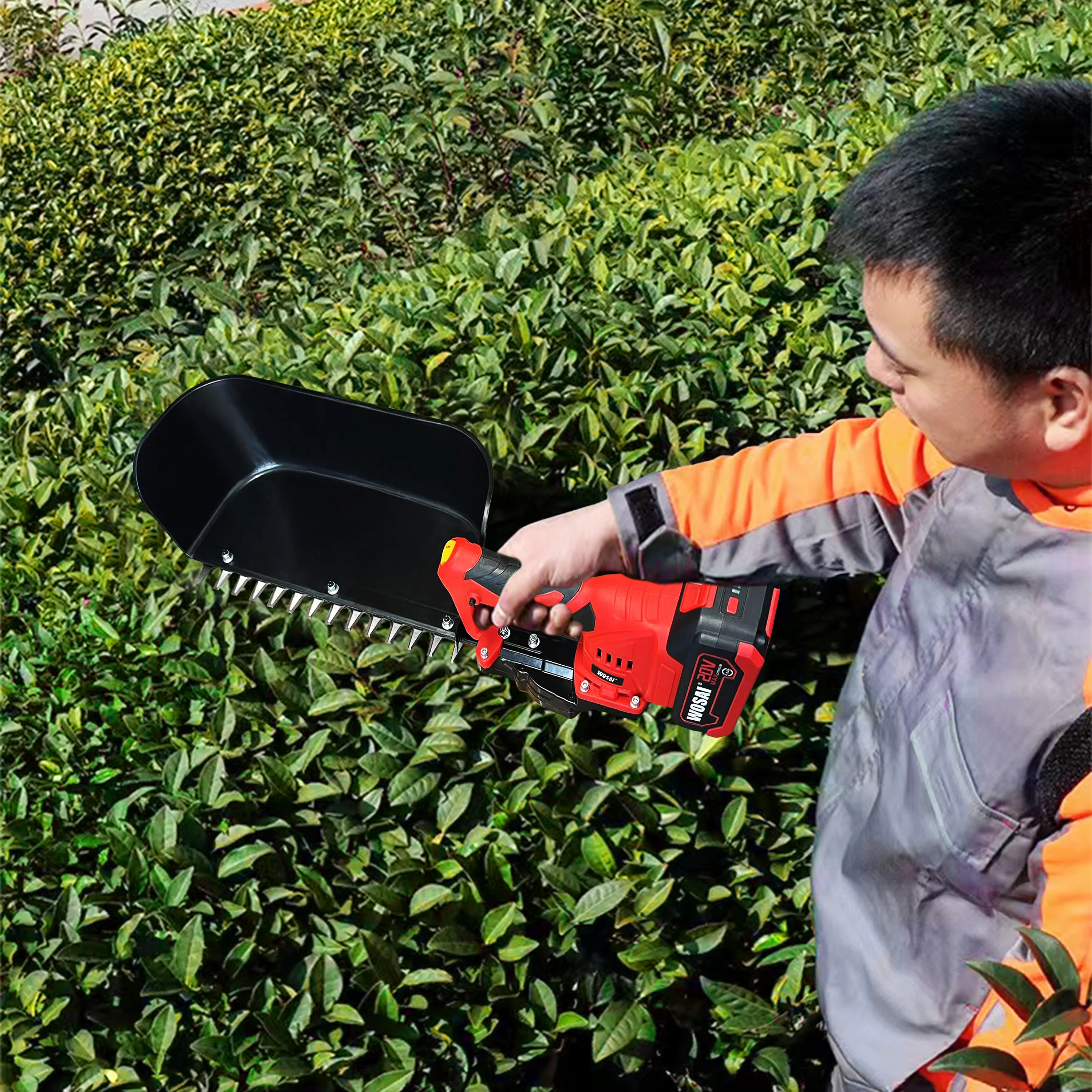 WOSAI 20V Electric Cordless Hedge Trimmer Portable Tea Picker Lithium Battery Tea Harvester