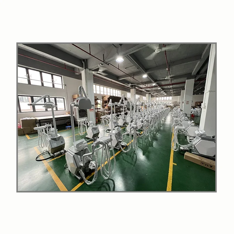 Simple Head Dental Rubber Manikins Oral Teaching Simulation Model for Medical Science Simulator