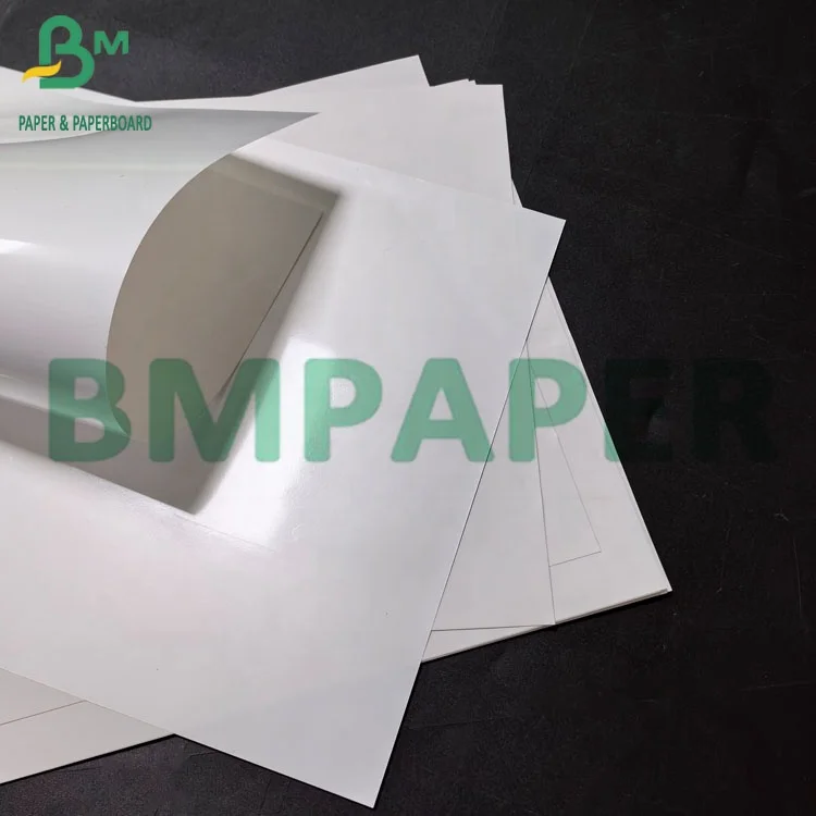 220gsm Top Coated Thermal Synthetic Paper With Hot Melt Thermal PP Roll Paper For Label