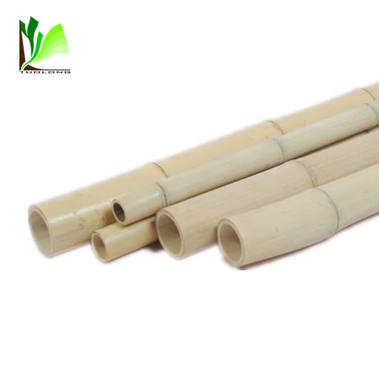 Tonkin Bamboo Canes Bamboo Cane Prices