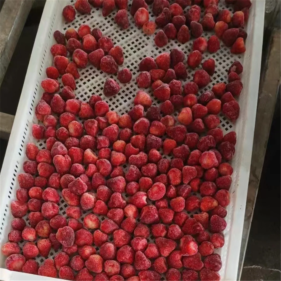 EU  Organic  Healthy Natural Quick frozen strawberries A Grade for Wholesales Retail