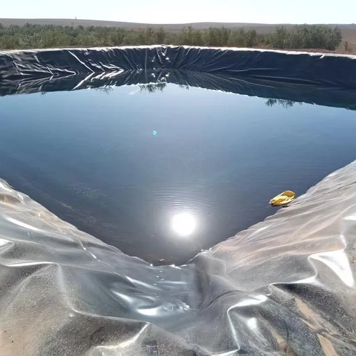 hdpe geomembrane liner HDPE geomembrane pond liner factory price geomembrane hdpe