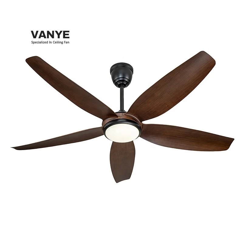 220 volt American style 56 inch low noise 5 ABS white blades dc bldc control remote celling fan with light