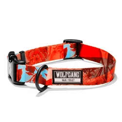 Best selling pet products durable nylon custom print dog collar for medium dogs