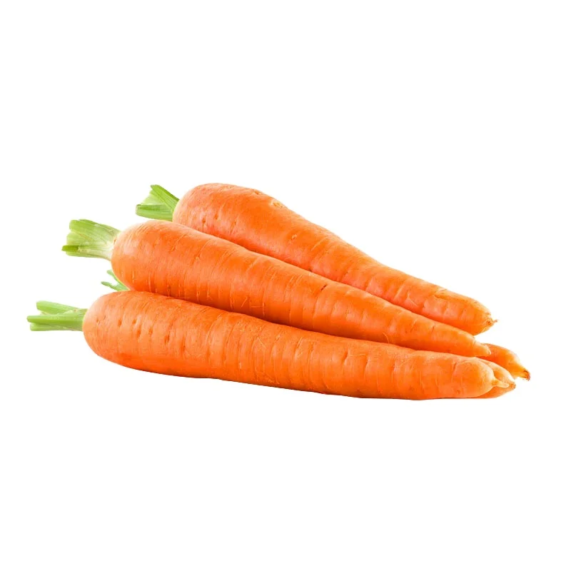 Farm Grown Delicious China Export Fresh Vegetables Carrot Fresh Carrots
