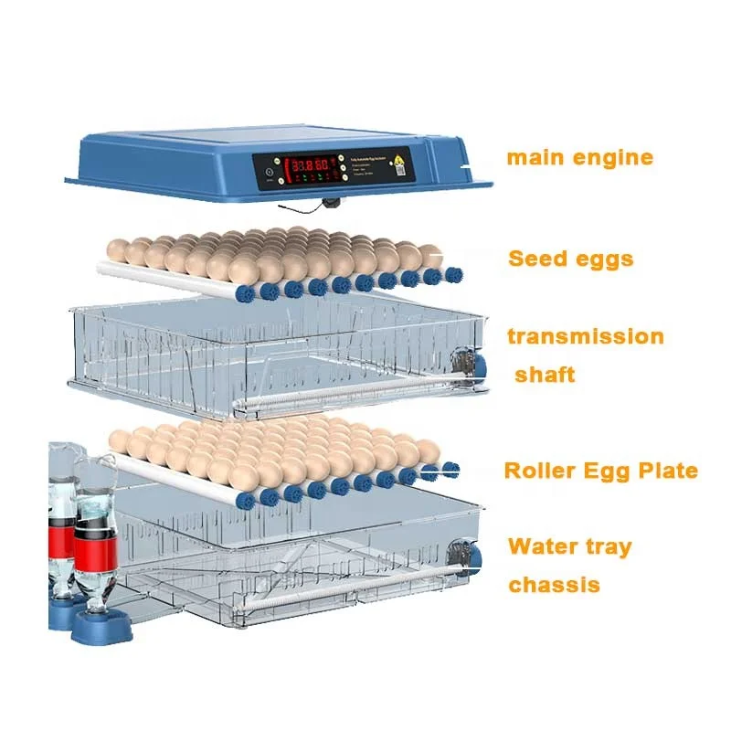 Factory direct supply Trout Fish Ostrich Commercial Duck Egg Hatching Incubator