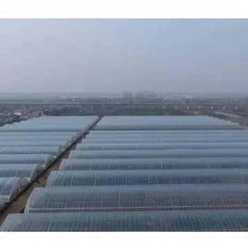 High Quality Tropical Multi Span Agriculture Greenhouse for Vegetable