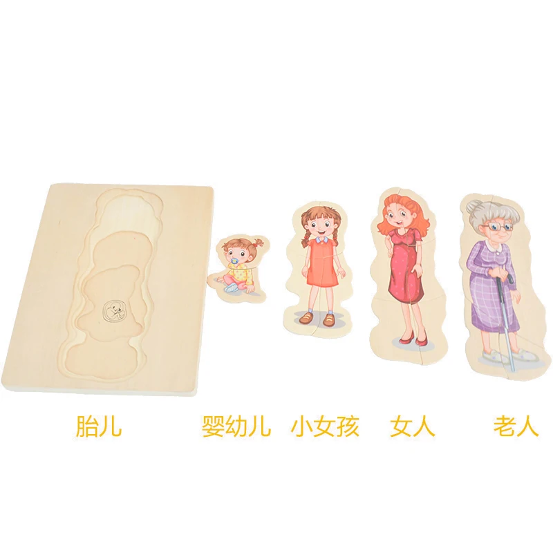 Wooden Toddler Toys Ready to Ship Man Grow up Body Structure Jigsaw Learning Wooden Toy 5 Layer Puzzle