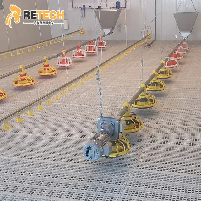 Fully Automated Chicken Farm Broiler Project Poultry Farming Equipment for Sale