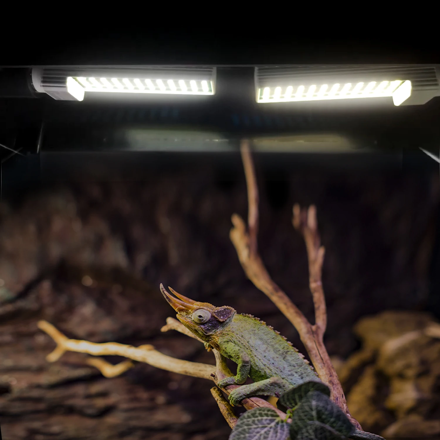 US EU E26 E27 6500k NO UVC white Light Terrarium LED Reptile Lighting UVB LED Lamp for reptiles