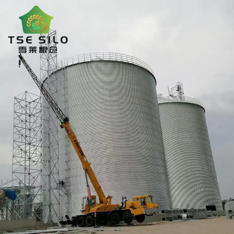 Soybean wheat paddy flat bottom  grain silo for farms