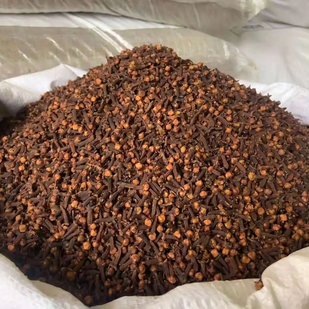 Hot Selling High Quality Exported Ceylon Cloves Seed Bulk Spices Herb Dried Spicy Whole Cloves Raw Spices Direct from Source