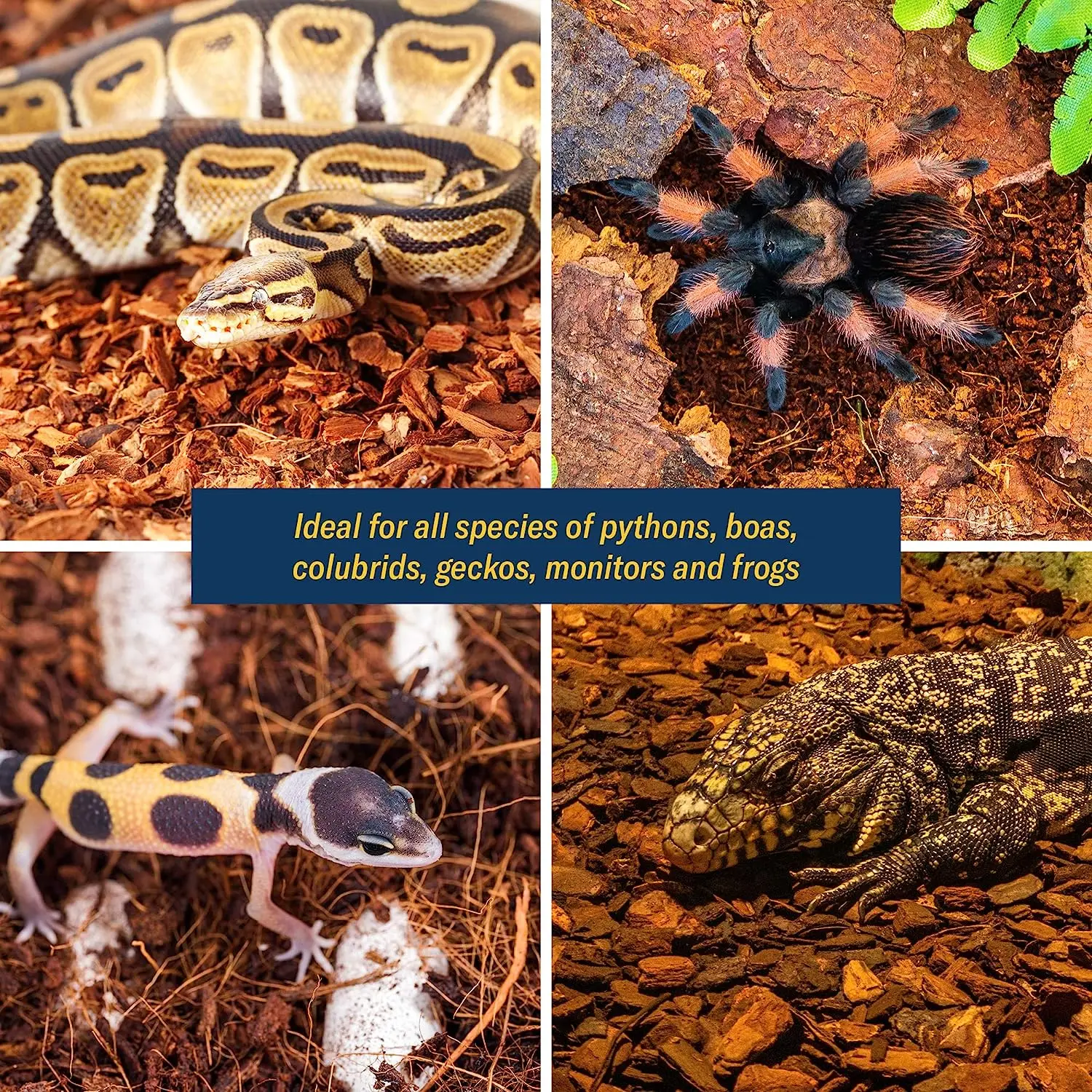 Snake Reptile Bedding Husk Shell Chip Coir Coconut Coco Substrate