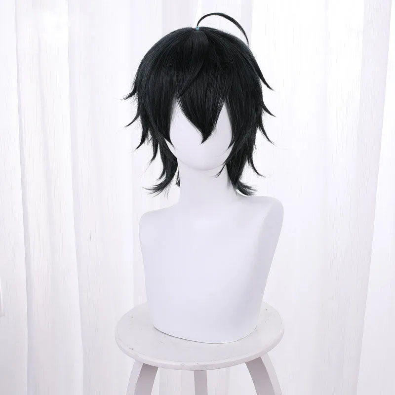 Ainizi wholesale 33cm character of The Conductor Asahina Takuto cosplay wig from takt op.Destiny