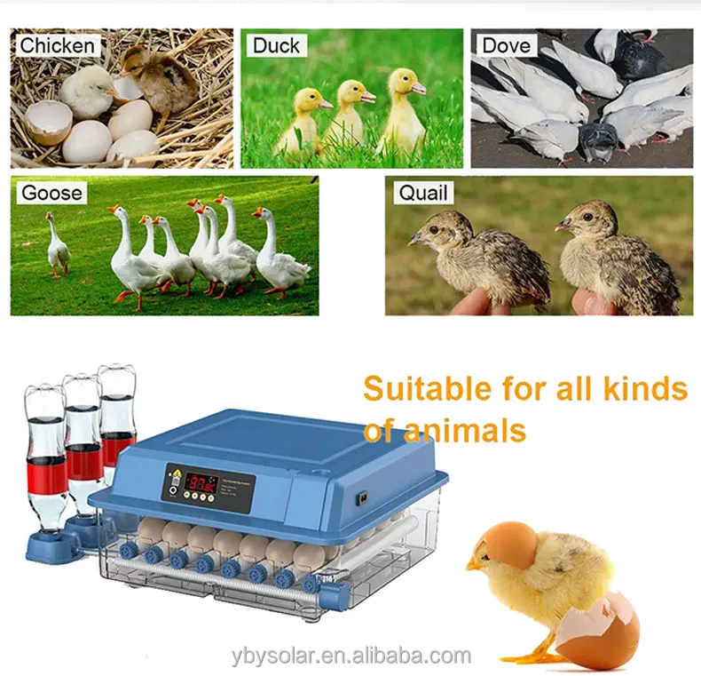 24 Pcs Mini Turn Tray Chicken Bird Eggs Care Automatic Incubator Equipment Advance Hatching Egg Incubators Poultry Hatcher