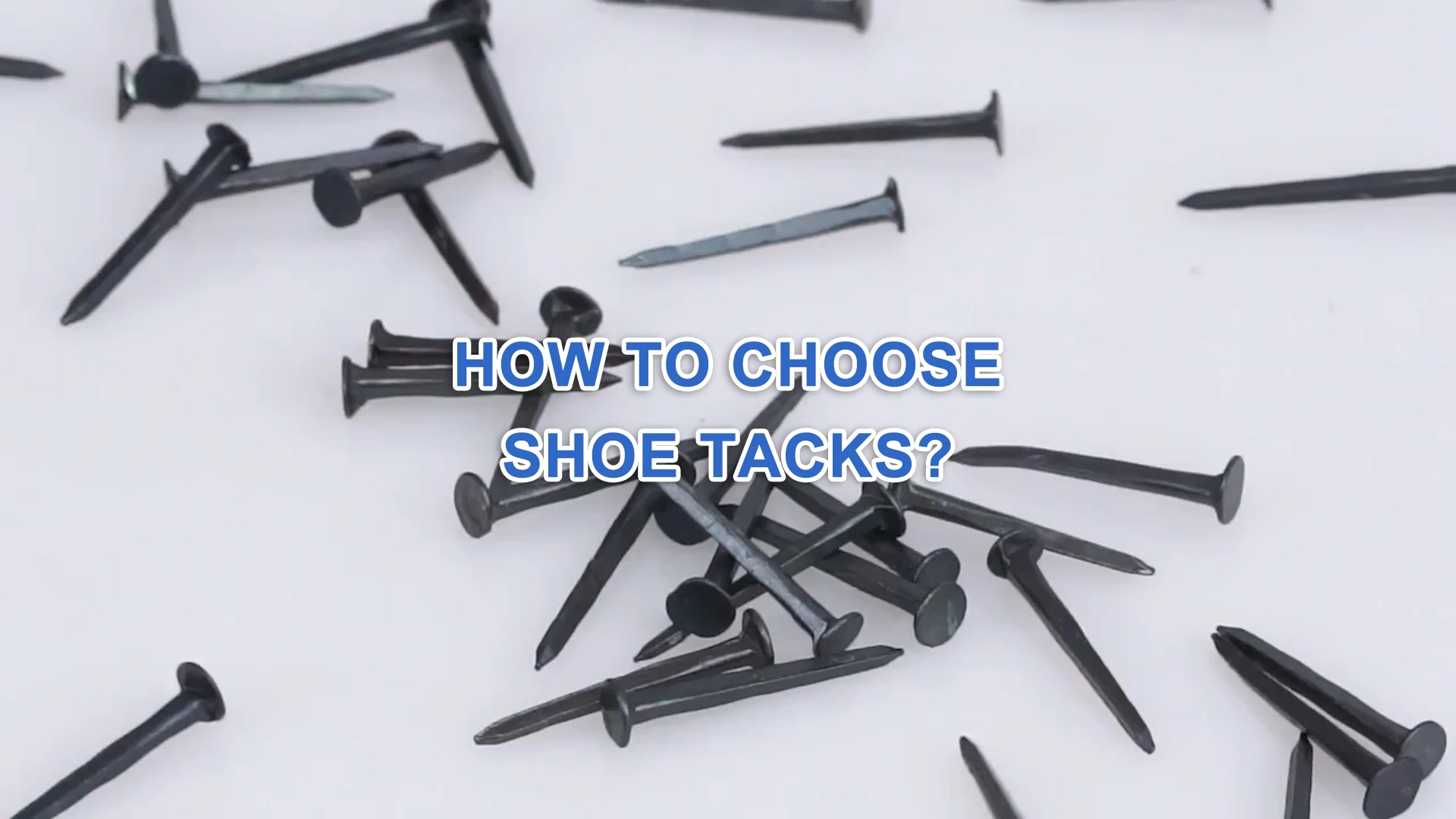 Black Shoe tack for heel Factory price high quality Hot selling five star shoe tacks nails