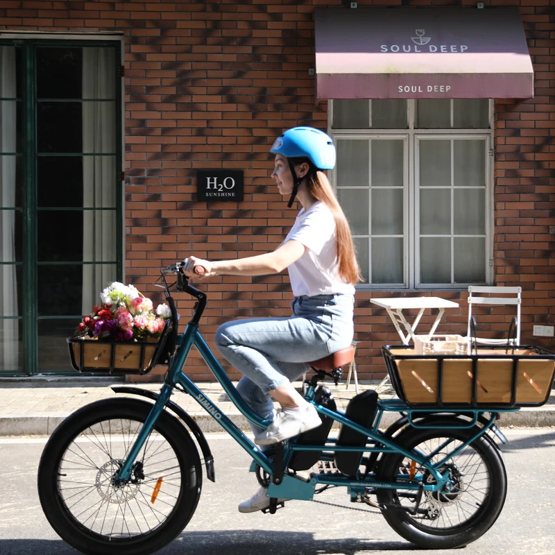 24 inch 500W dual lithium batteries food ebike 250w ebike cargo delivery family electric bike long range