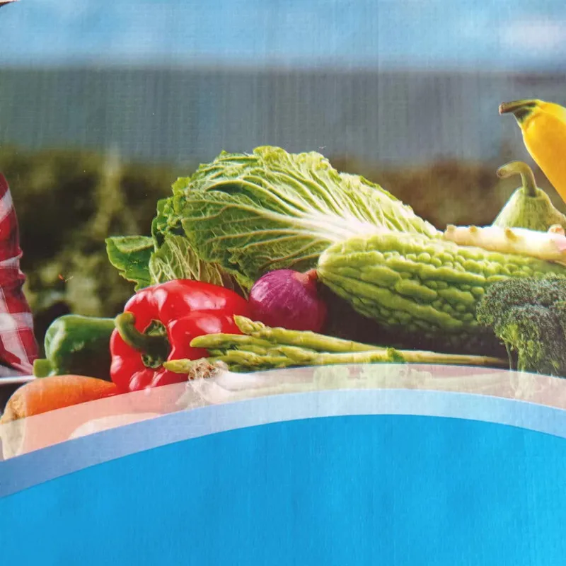 Customized Bopp Laminated Plastic Polypropylene Woven 20kg 25kg 50kg Urea Organic Fertilizer Packaging Bag