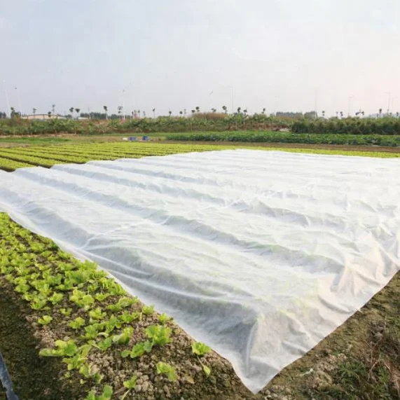 China Anti-UV PP Spunbond Nonwoven Fabric for Agricultural Cover