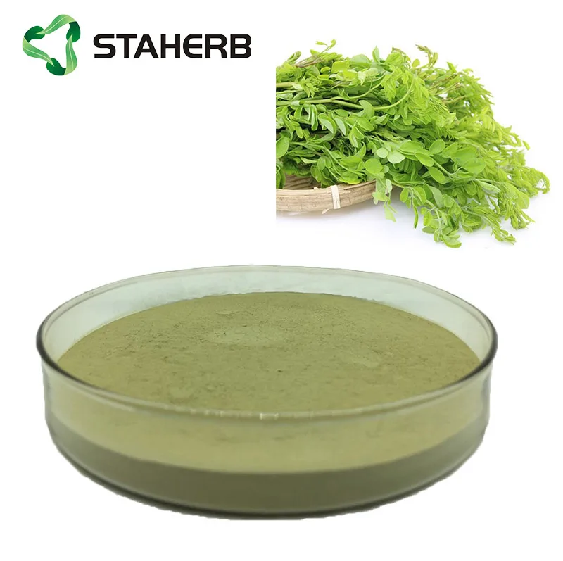 Hot selling top quality moringa oleifera leaf powder / 100% Natural organic Spicy wood leaf powder