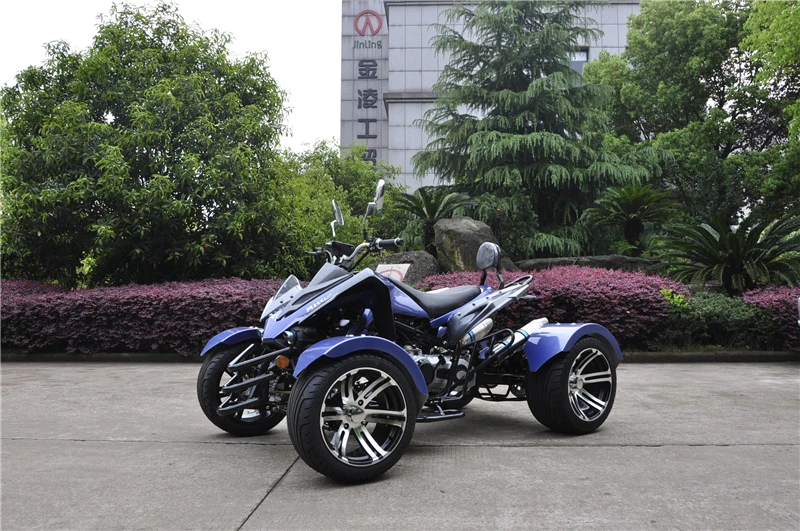 300cc CVT Water Cooled Engine  For 2 Passengers