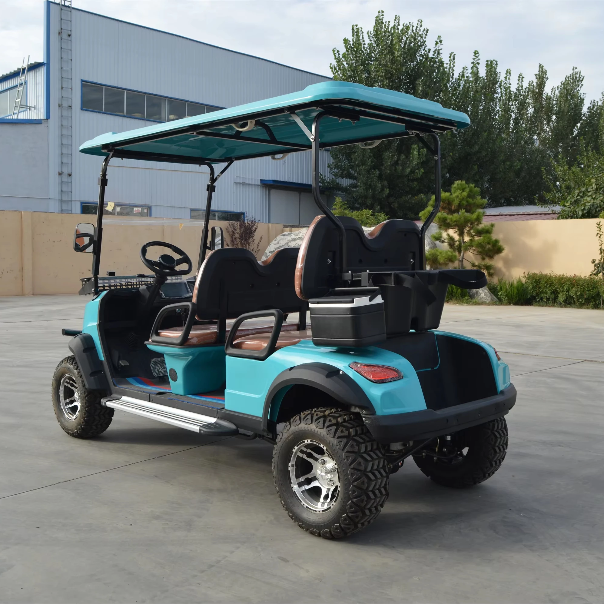 Compact 48V Electric Golf Cart Heavy-Duty 4-Seater Buggy with Durable Battery 2 Stroke Engine Dot Certified New Condition
