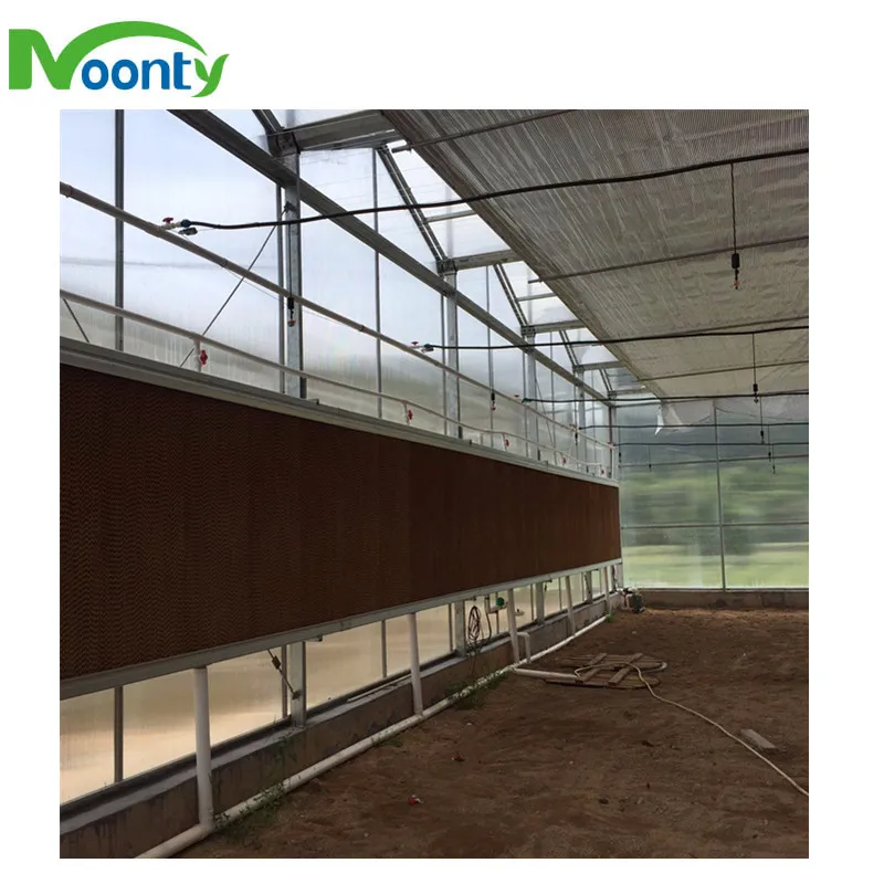 Agricultural Equipment Greenhouses With Hydroponics System