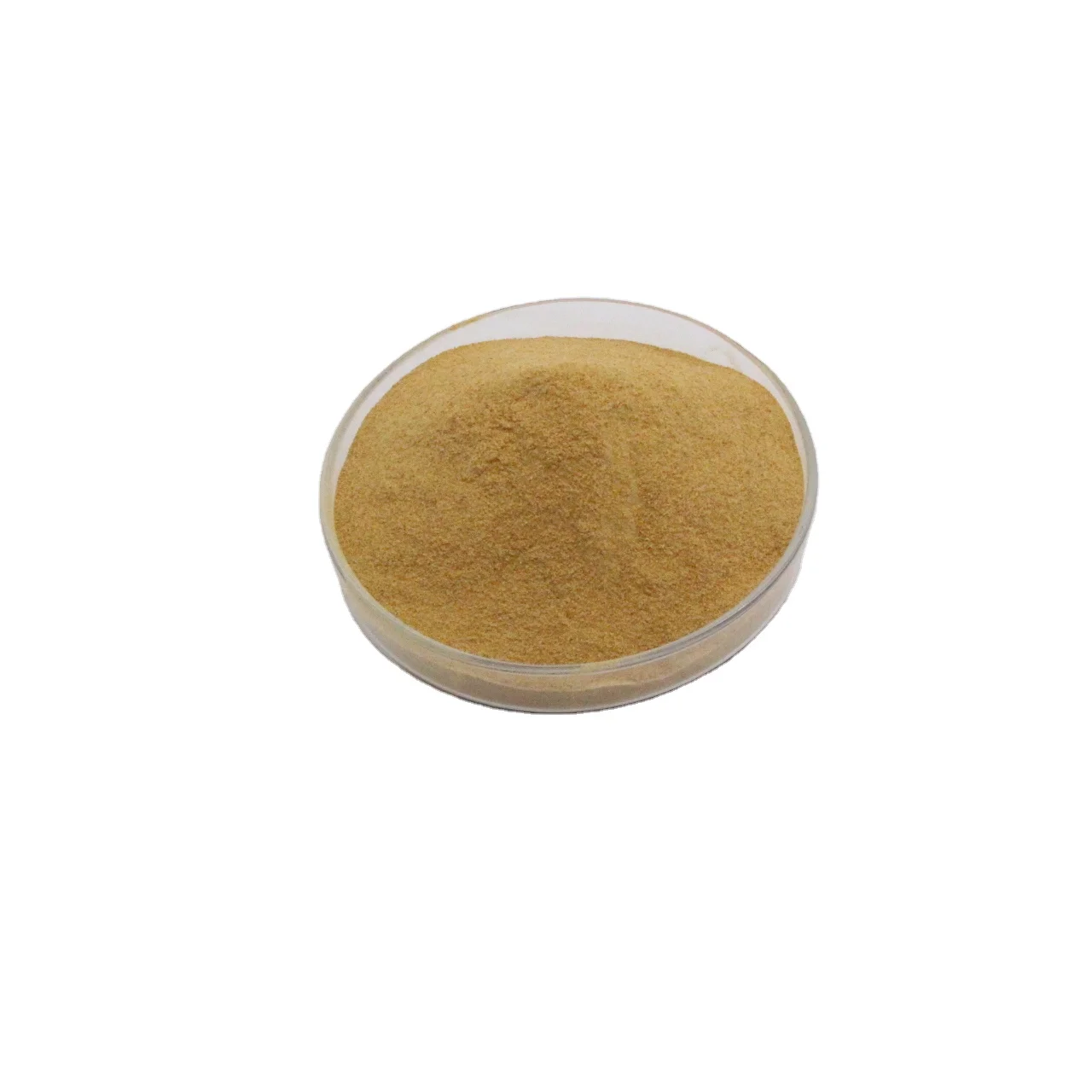 Hot sale Saccharomyces cerevisiae yeast nutritional extract powder  for animal feed promote growth