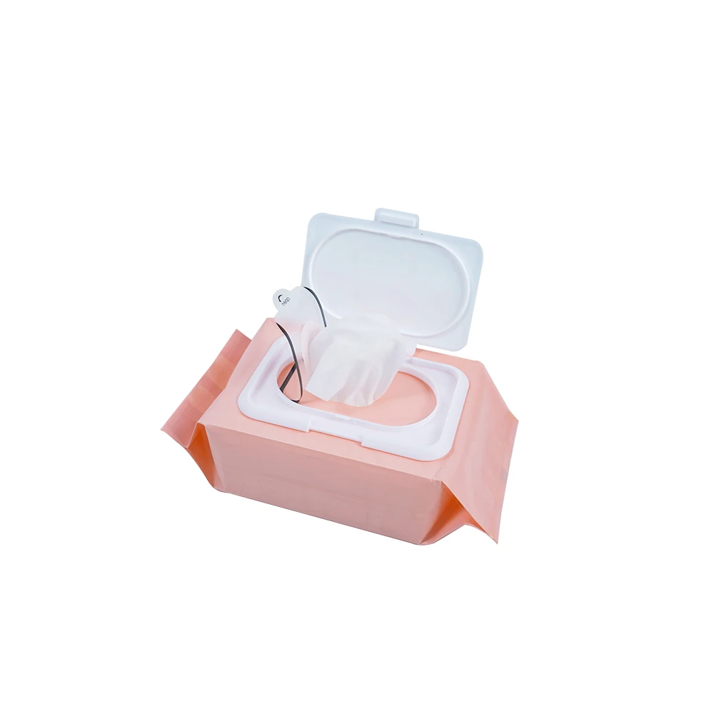Wholesale Custom Private Label Individual Organic Feminine Cosmetic Makeup Remover Wet Wipes
