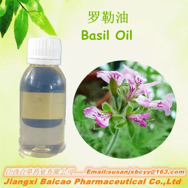 Pure Basil Oil Basilium Essential Oil Manufacturer Bulk Food Additive Essence Liquid