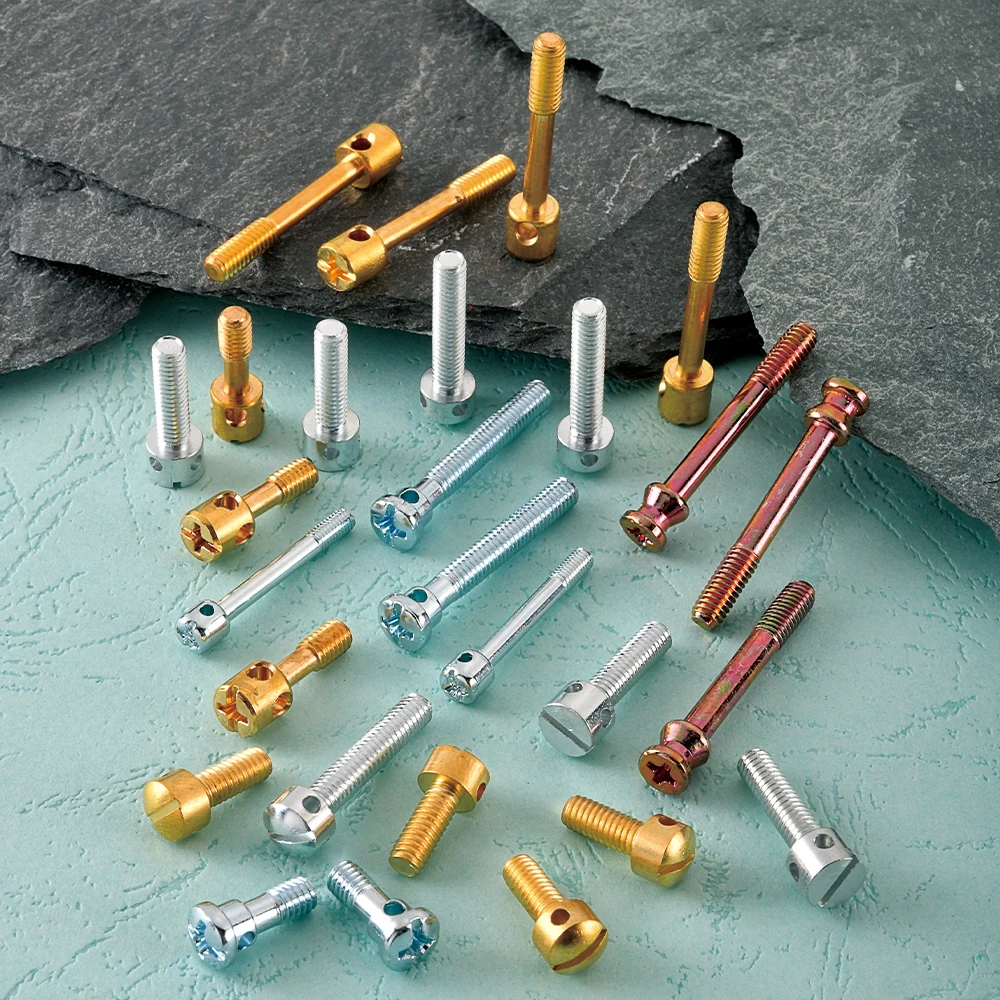 High-Strength M6 M8 M10 Stainless Steel Lead Seal Screws for Critical Applications