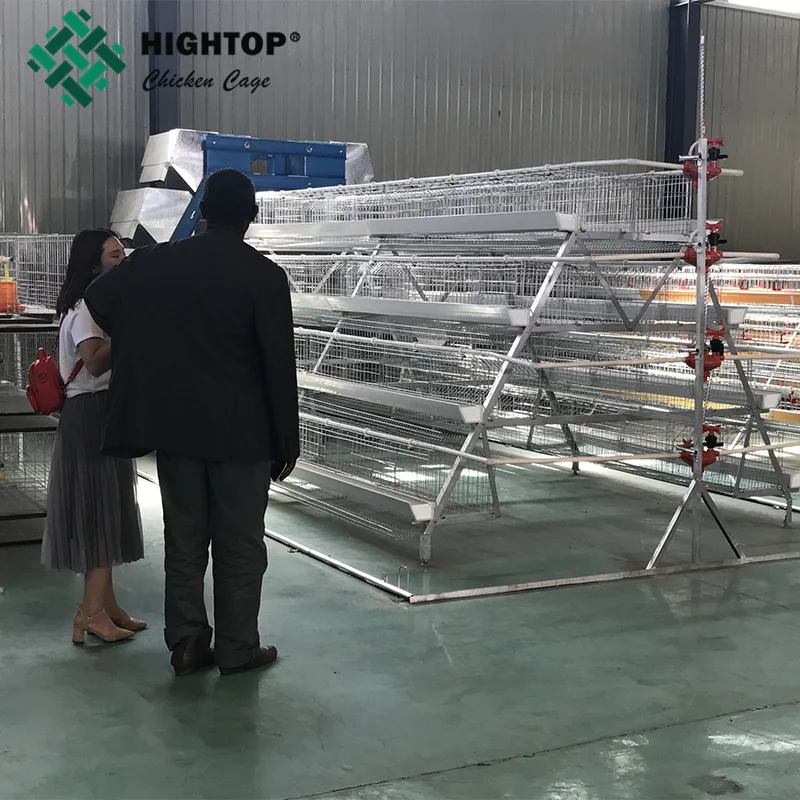 Factory Supply 500 Capacity Big Size Chicken Egg Layer Battery Cages