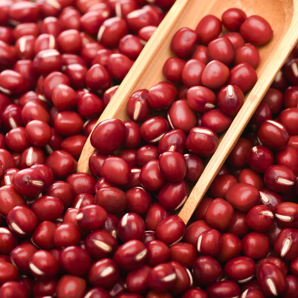  1Kg/Bag Vacuum Packing 2% Moisture 4-4.5mm Size Small Round Red Beans Factory Directly Wholesale
