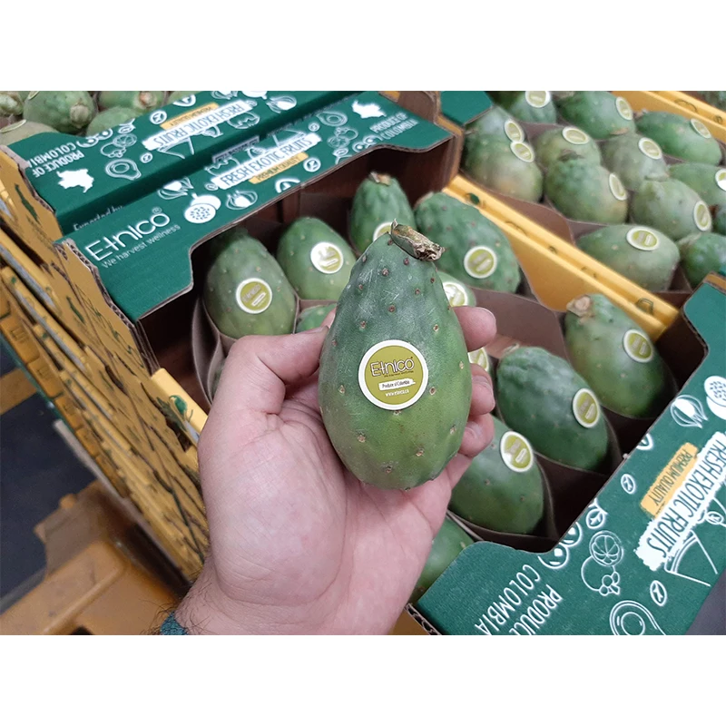 Big Sale Cactus Fig Cactus Pear Pricky Pear Fresh Fruit Supplier