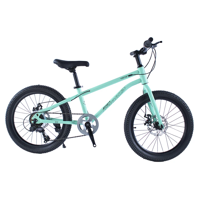 High quality 18 20 22 24 inch 7 Speed cycle BMX bicicleta mountain bikes boy bicycle for kids children 10 year 15 years old