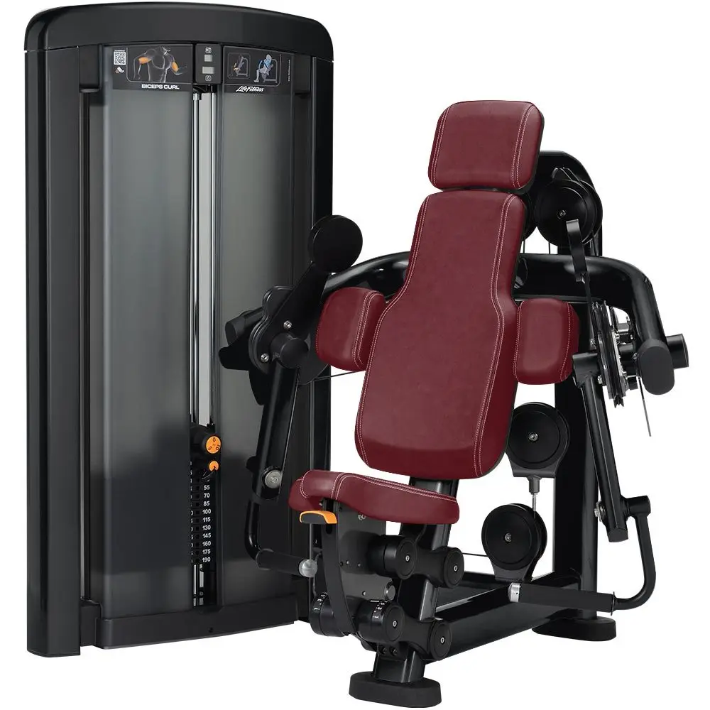 Commercial Fitness Equipment Gym Machine Biceps Curl machine for gym