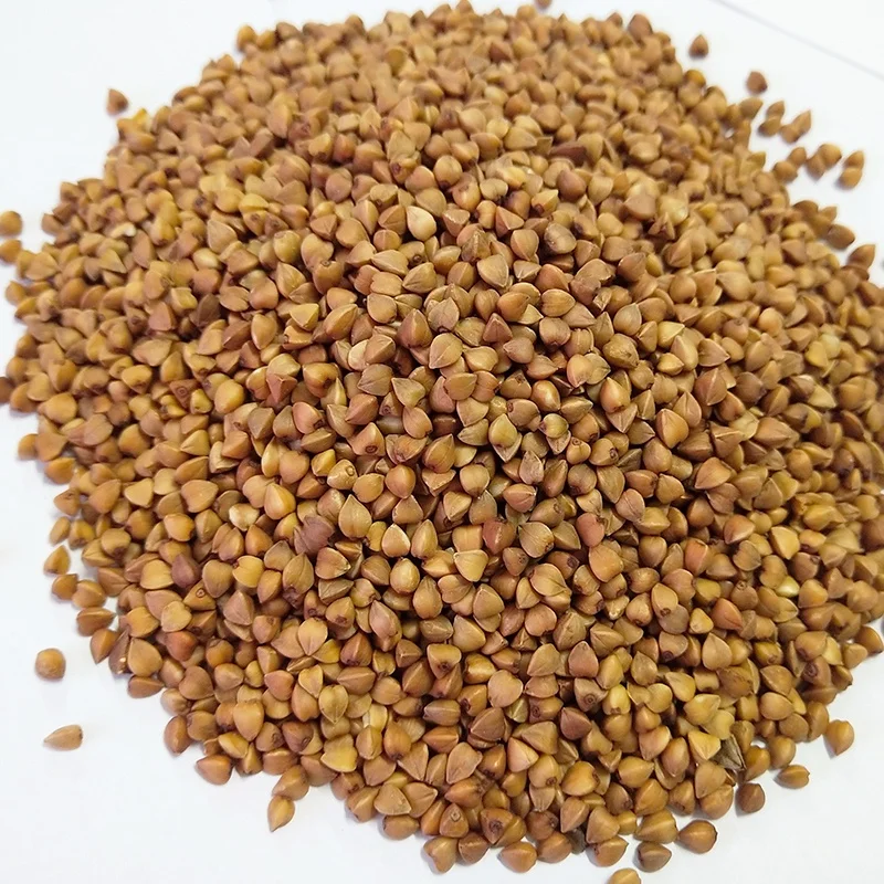
Roasted Buckwheat from China 