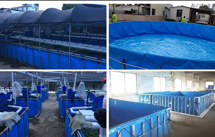 Customized Cost Effective Well Tilapia Fish Farming Tanks tarpaulin pond covers
