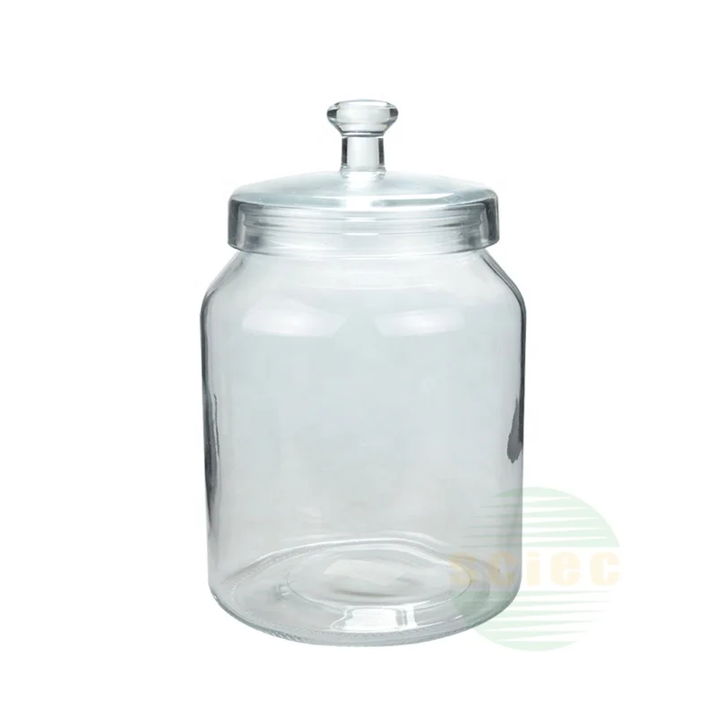 large wholesale 3L/5L/7L mouth blow glass jar Glass biscotti Jar  glass jar with cover