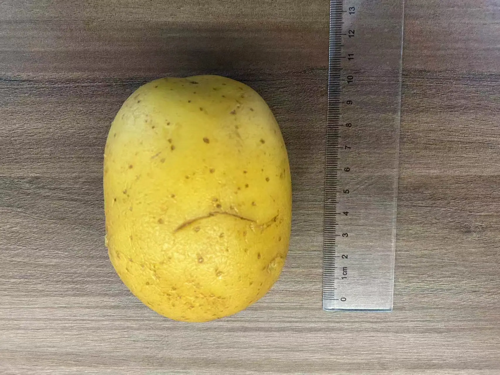 new crop fresh organic vegetables  wholesale potato price of potato in bulk