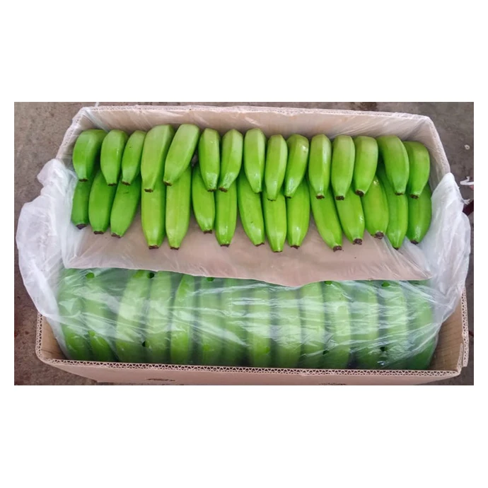 Продажа натуральных свежих бананов Премиум-Качества, Лучшая цена, непосредственно от производителей в Мексике