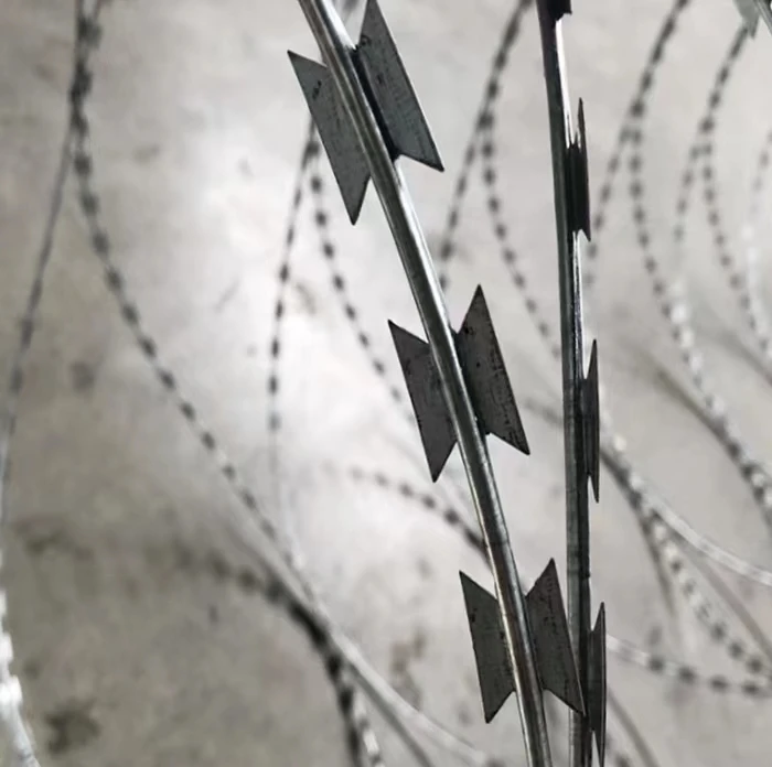 Manufacturer Wholesale Specification Well-Known For Its Fine Quality Razor Barbed Wire