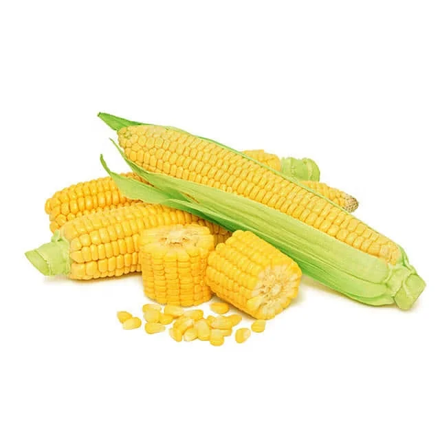 
Unrefined Cold Pressed Best Edible Vegetable Corn Oil 