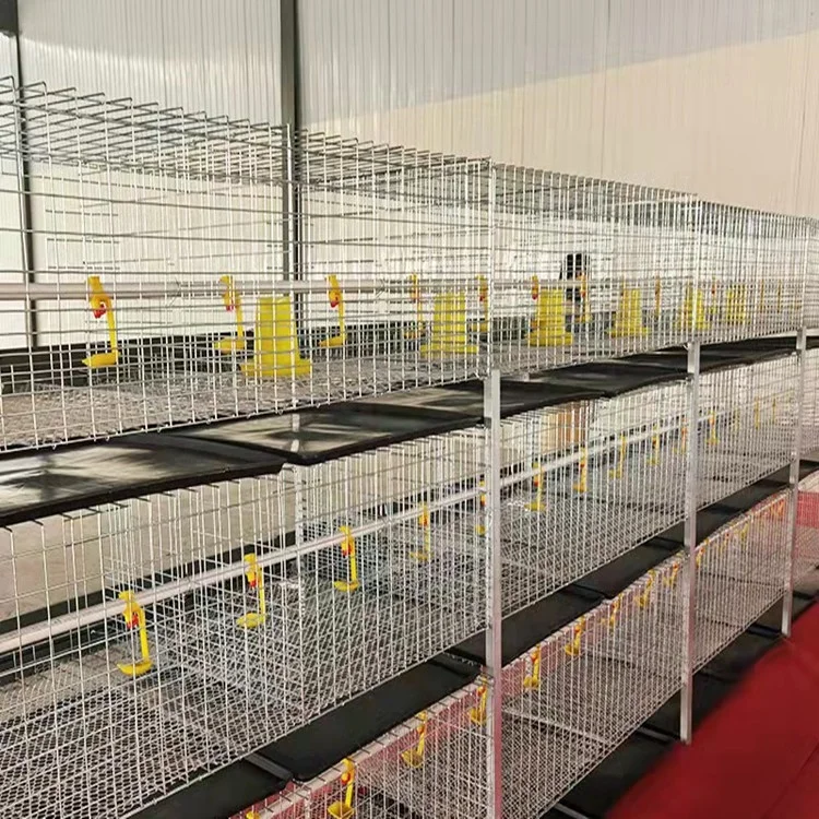 hot sales chicken cage system for layer in uganda market