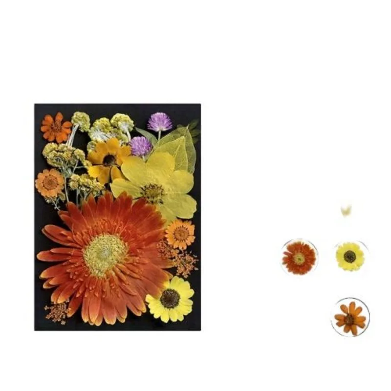 Wholesale Beauty Artistic  DIY Crafts  Resin Art  Decorations Home Decor Flower Pressing Toys