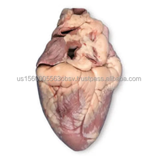 Frozen lamb heart for sale Quality lamb heart online