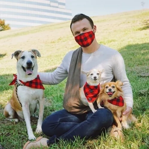 Scrunchies Hair Ties Pet Bandana Luxury Collar Cat Dog Bandanas Bibs Wholesale Dog Scarf