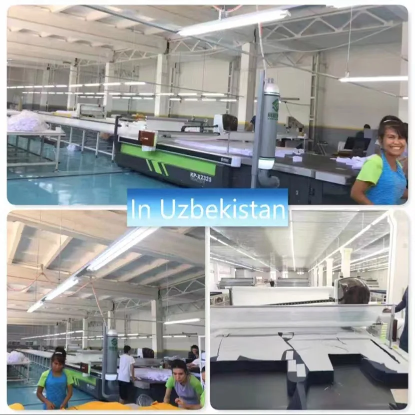 Auto textile cutting machine for Garment/Plush toys/PU/Car seat/Knit/No-woven/Weaving cutting