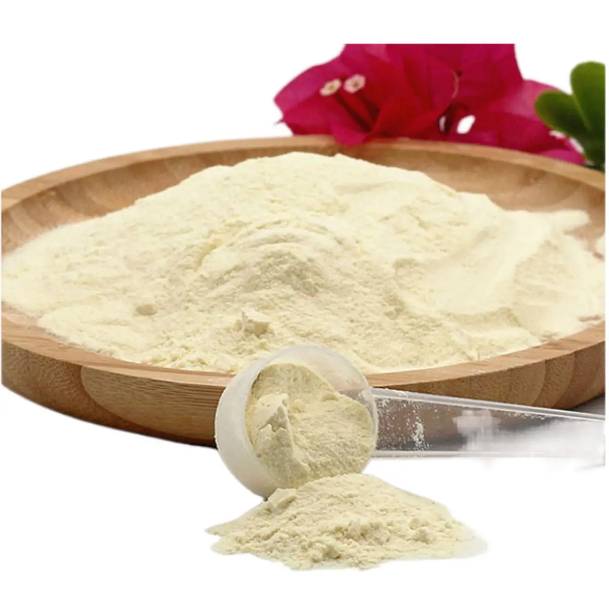 Protein Powder Organic Vegan Protein Powder With Logo Private Label Whey Vegan Protein Powder